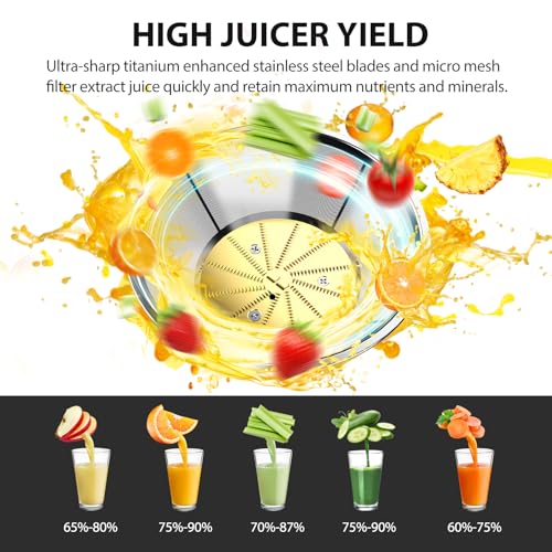 1300W Centrifugal Juicer Machine