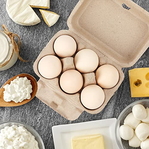 Paper Egg Cartons for Chicken Eggs