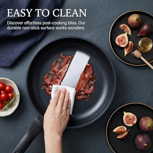 Nonstick Frying Pan Skillet