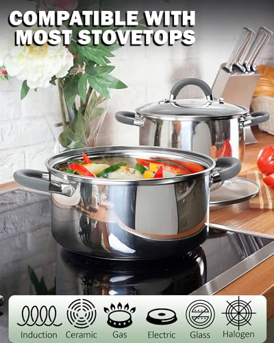 Basics 3 Quart Stainless Steel Stock Pot with Lid