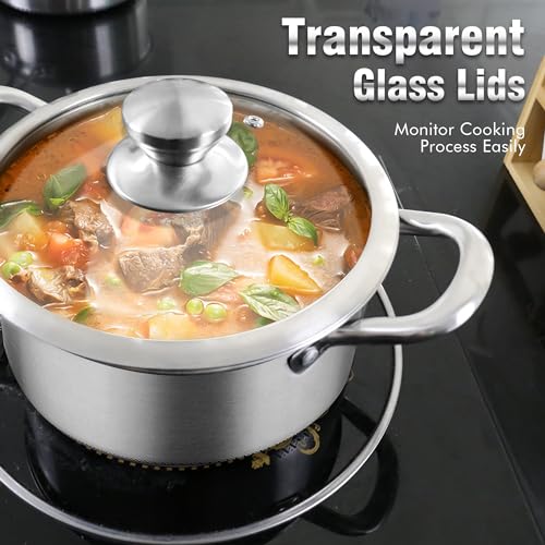 Hybrid Nonstick 6 Quart Stainless Steel Stockpot with Glass Lid