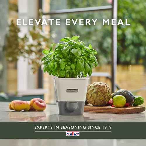 Self Watering Single Potted Herb Keeper