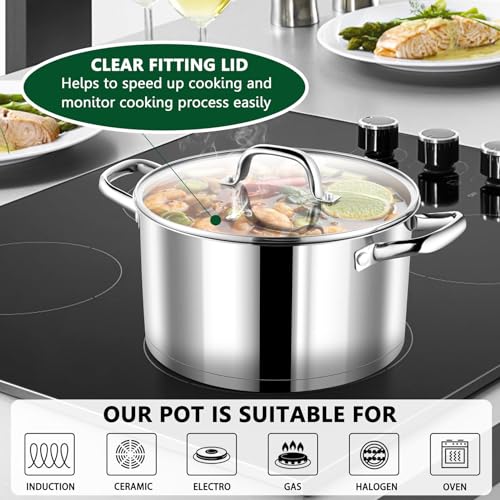 8 Quarts Stock Pot with Lid