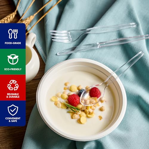 300 Count Clear Plastic Silverware