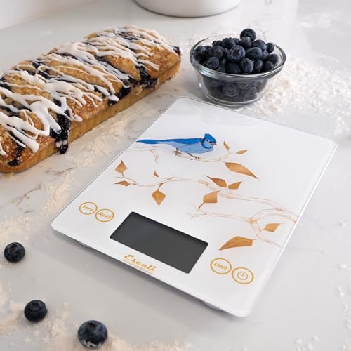 Arti Blue Jay Glass Food Scale Digital Countertop Kitchen
