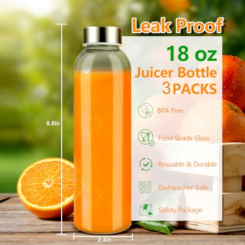 18 oz Glass Water Bottles with Stainless Steel Lids (3 Count)