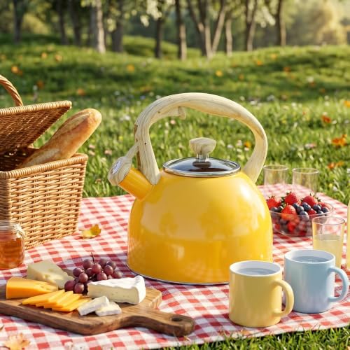 Whistling Tea Kettle for Stove Top