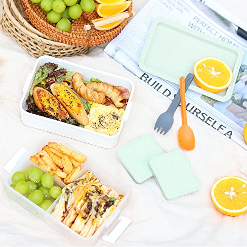 Stackable 2 Tier Adult Bento Box (4 Count)