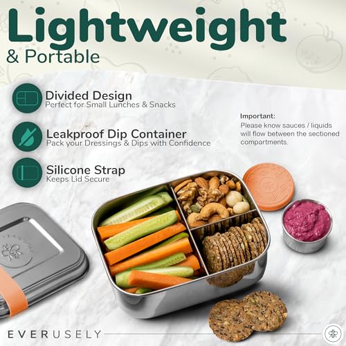 Stainless Steel Bento Box + Condiment Container