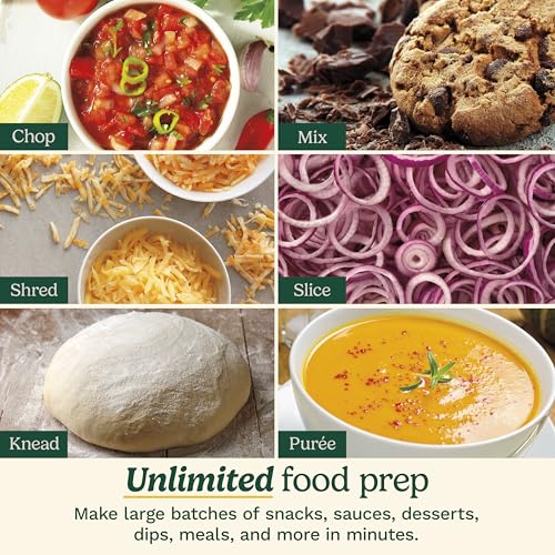 9 Cup Continuous Feed Food Processor with Fine and Medium Reversible Shredding and Slicing Disc