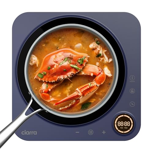 CATIH1A M Portable Induction Cooktop