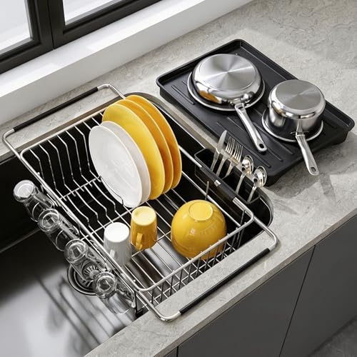 in Sink Dish Drying Rack with Drainboard and Utensil Holder
