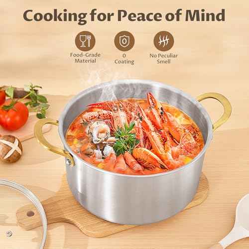 12 QT Stock Pot with Lid