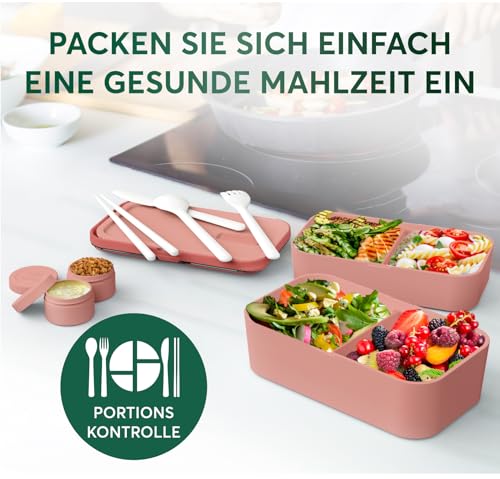 Lunch Box Containers w