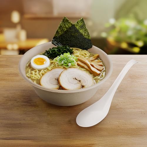 Disposable PLA Cornstarch Asian Soup Spoons with Hook Plastic (600 Count)