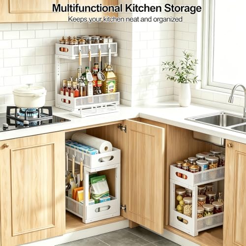 Under Sink Organizer