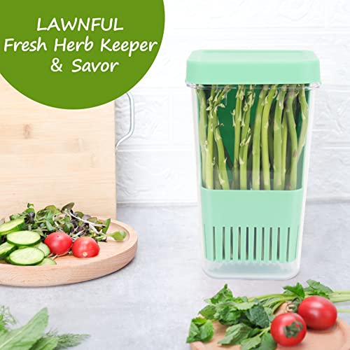 2 Pack Fresh Herb Keeper for Refrigerator (2 Count)