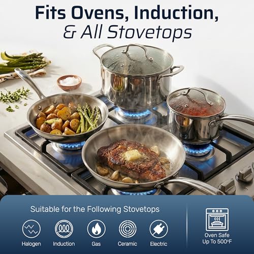 10 Pcs Tri Ply Stainless Steel Cookware Set (10 Count)