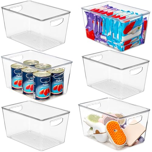 Large Clear Storage Bins with Lids (6 Count)