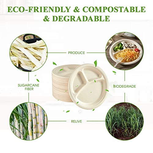 Compostable Paper Plates (125 Count)