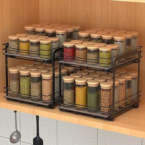 2 Tier Spice Rack