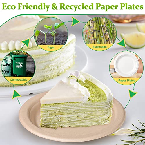 Paper Plates 6 inch (100 Count)