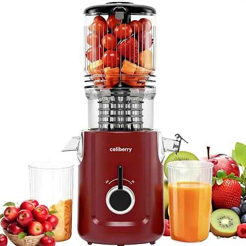 Cold Press Juicer Machines