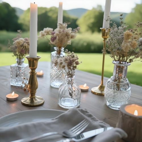 Glass Bud Vase Set of 12 Pcs Small Minimalist Vases for Flowers (12 Count)