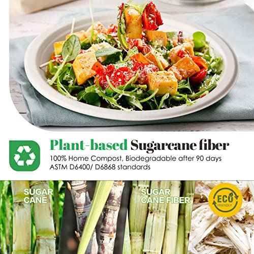 Compostable Small Paper Plates 6 Inch 125 Pack Dessert Plates (125 Count)