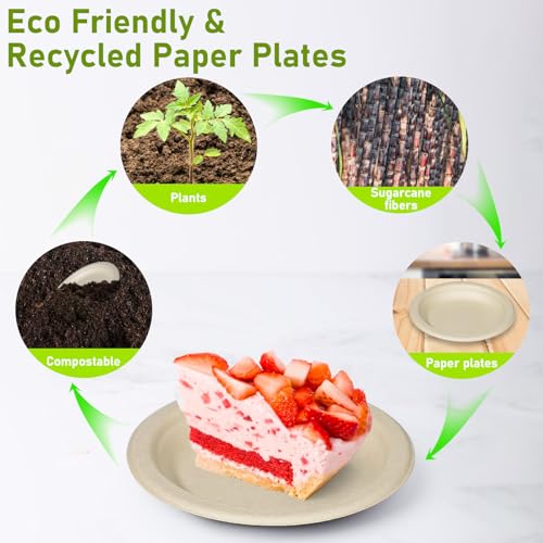 6 inch Paper Plates Bulk 500 Pack (500 Count)