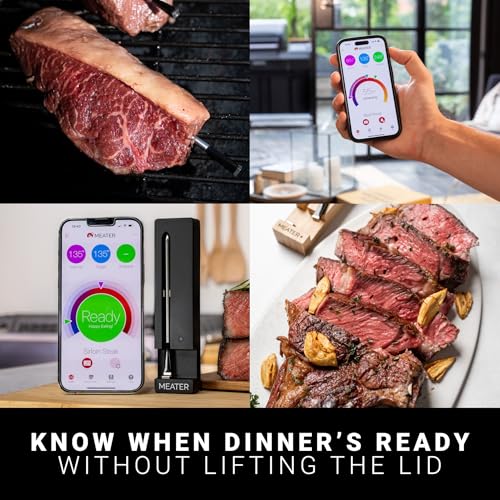 SE Wireless Smart Meat Thermometer