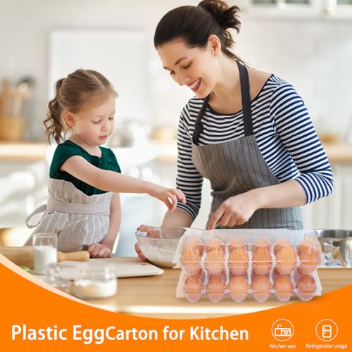 60Pack Jumbo Egg Cartons Duck Egg Cartons Extra Large Egg Containers (60 Count)