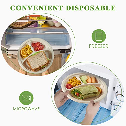 Compostable Paper Plates (125 Count)