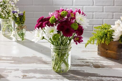 Wide Mouth Glass Mason Jars with Lids and Bands