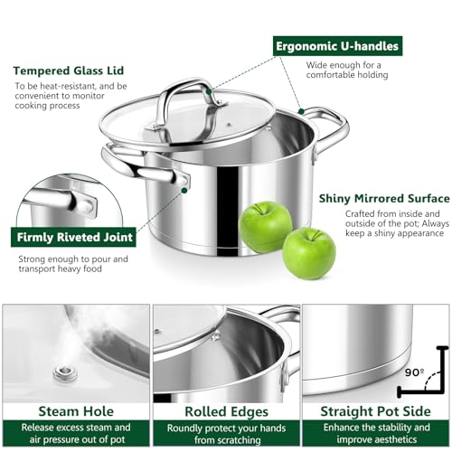8 Quarts Stock Pot with Lid