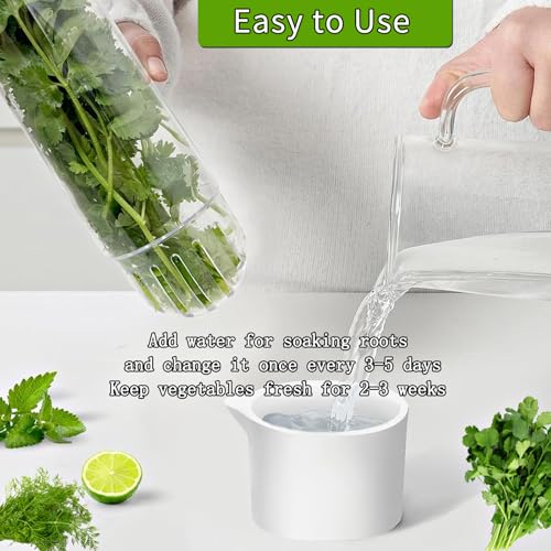 Herb Saver for Refrigerator (2 Count)