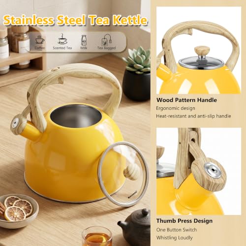Whistling Tea Kettle for Stove Top