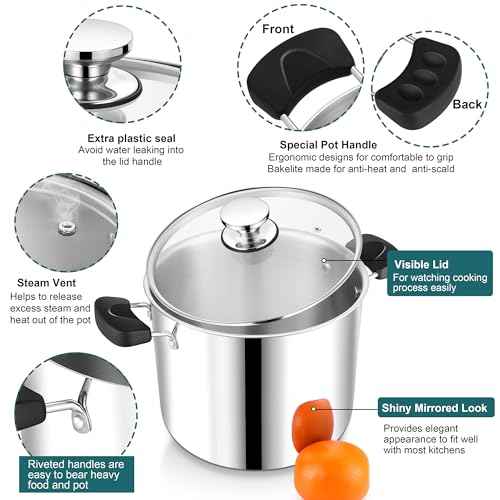 10 Qt Pot with Lid
