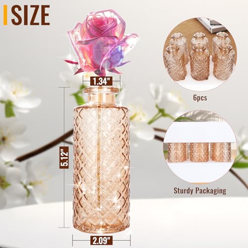 Glass Bud Vase (6 Count)