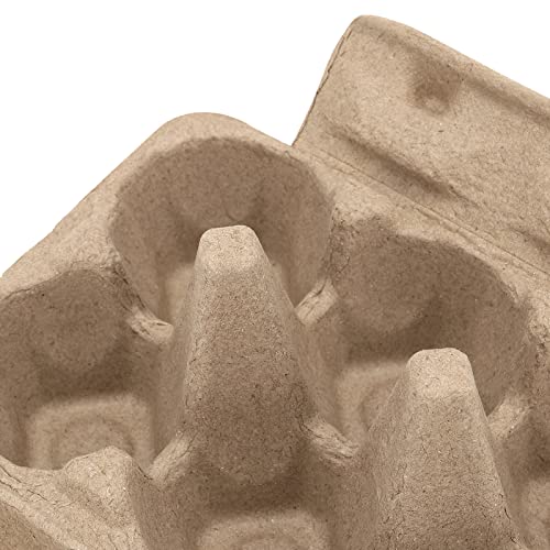 40 Pack 6 Cell Empty Egg Cartons (40 Count)