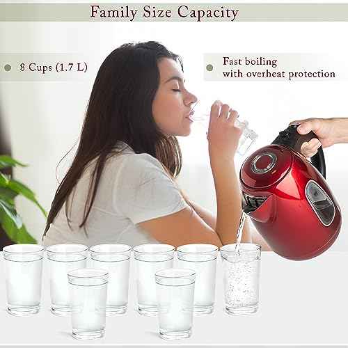 Red Stainless Steel Electric Kettle