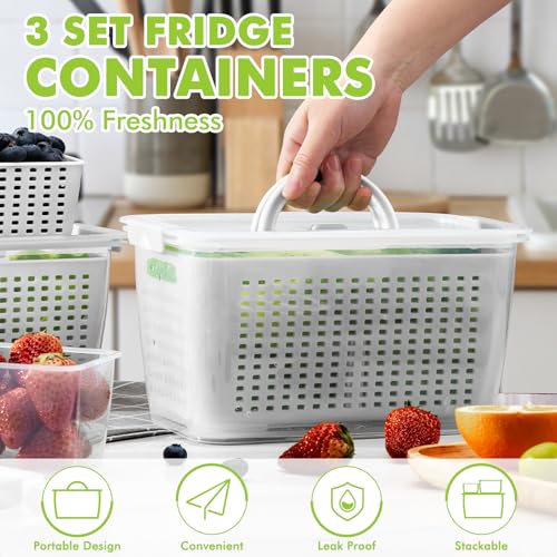 Produce containers for fridge (135.2561 Fl Oz)