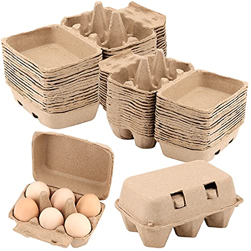 40 Pack 6 Count Egg Cartons (40 Count)