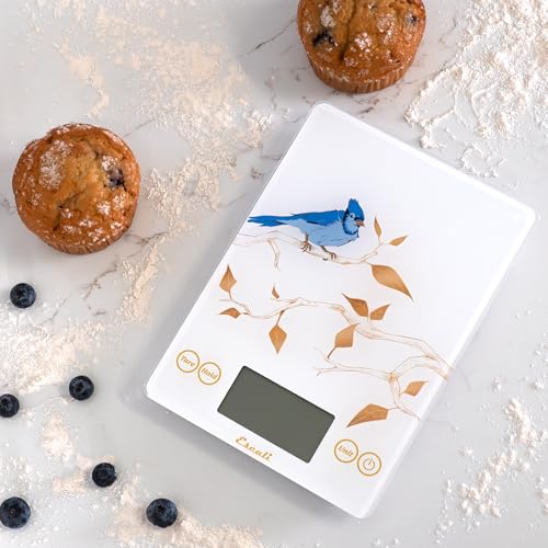 Arti Blue Jay Glass Food Scale Digital Countertop Kitchen