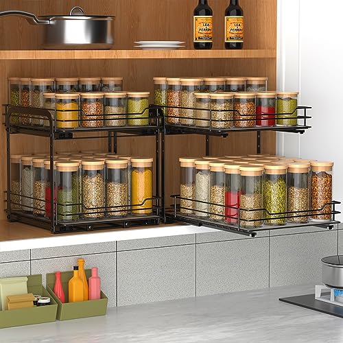 2 Tier Spice Rack