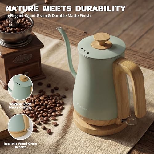 Gooseneck Electric Kettle