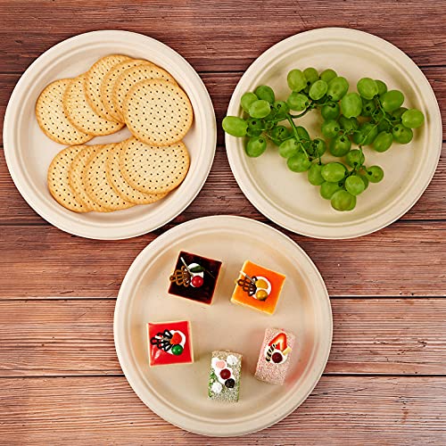 150 Pack Compostable Disposable Paper Plates 10 inch Super Strong 100% Bagasse Natural Biodegradable Eco (150 Count)