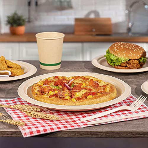 100% Compostable Plates 10 Inch 125 Pack Paper Plates Heavy (125 Count)