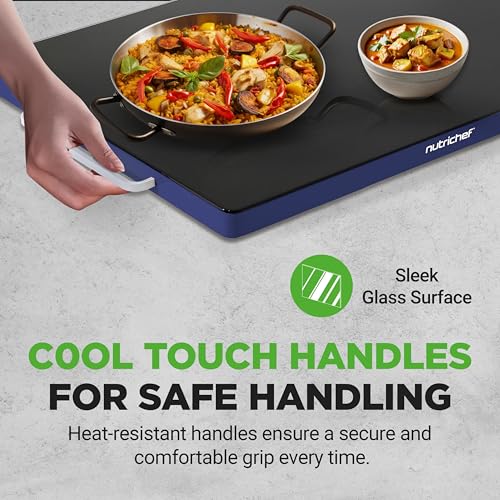 Electric Warming Tray