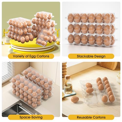 100 Pack Large Egg Cartons Cheap Bulk 12 Count Plastic Egg Containers 2x6 (100 Count)